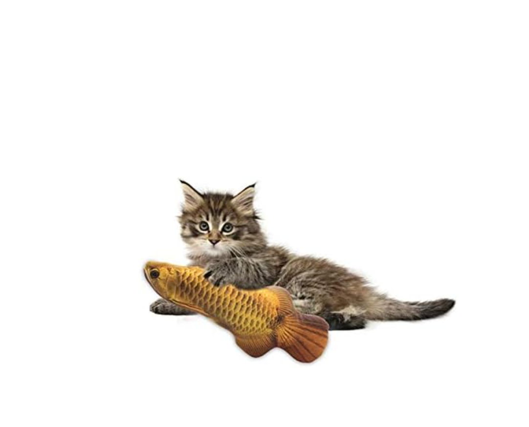 b6f55ccd1dd7860e602722e06989128d b6f55ccd1dd7860e602722e06989128d